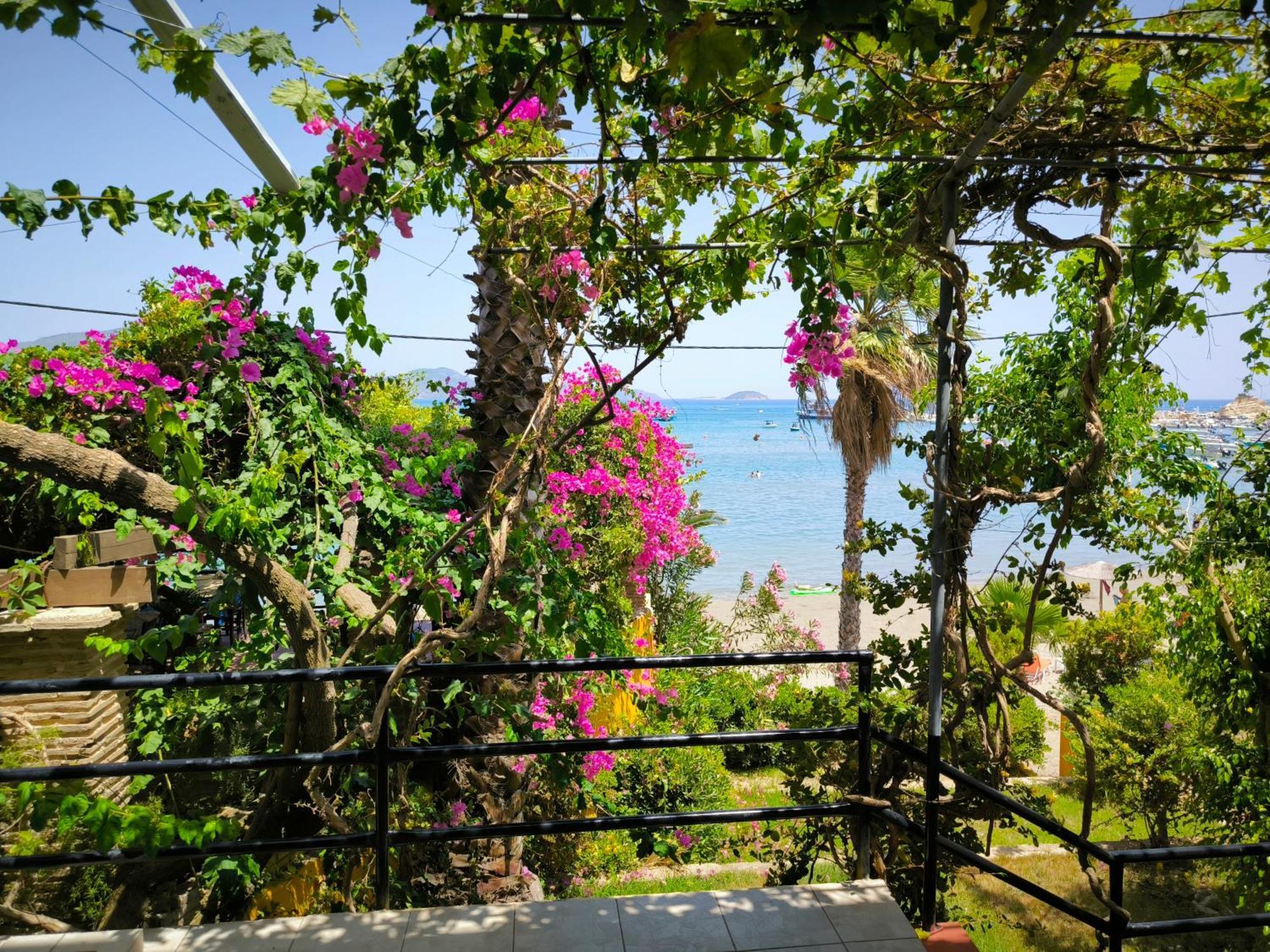 Apartment Aggelika